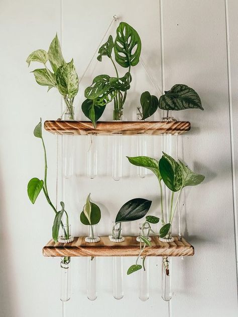 Indoor Plants Styling Boho, Hanging House Plants Indoor Decor, Test Tube Plant Wall, Test Tube Plants, Propagation Shelf, Diy Propagation Station, Test Tube Propagation, Test Tube Crafts, Propagation Tubes