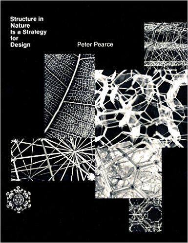 Parametric Architecture, Natural Structures, Parametric Design, 3dprinting Design, Patterns In Nature, Design Graphique, Graphic Poster, Graphic Design Inspiration, Graphic Design Illustration