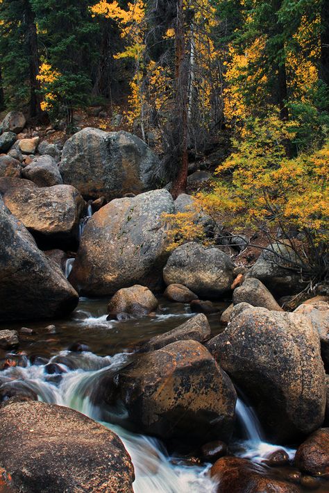 Georgetown Colorado, Mountain Streams, Wilderness Camping, Mountain Stream, Fairy Queen, 수채화 그림, Autumn Scenery, Camping Tips, Camping Experience