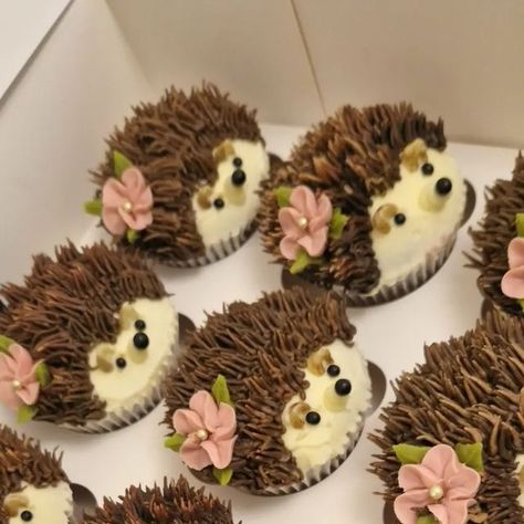 cupcakes by Sally on Instagram: "Not florals but how cute are these hedgehog 🦔 cupcakes that i made for a little girls birthday party, she had an art class with @art_by_rachel_spencer where they drew a hedgehog 🦔 . . #cupcakes #hedgehog #hedgehogs #hedgehoglove #buttercreamcupcakes #art #artist #prettycupcakes #birthday #birthdaycake #louthlincolnshire #lincolnshire #baking #bakinglove #cupcakesofinstagram #cupcakesofig" Hedgehog Themed Birthday Party, Hedgehog Birthday Party, Kids Fairy Garden Party, Hedgehog Birthday Party Ideas, Hedgehog Cupcakes, Hedgehog Birthday Cake, Thanksgiving Cake Pops, Rachel Spencer, Elf Birthday