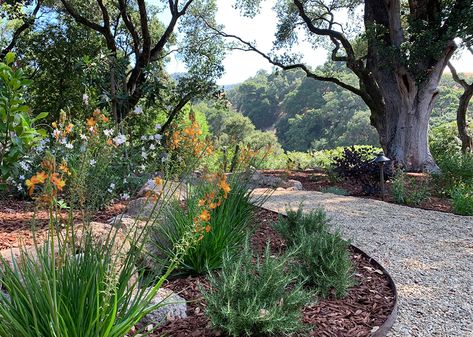 Serene landscape under oak trees with travertine stone patios and pathways - Dig Your Garden Landscape Design Oak Tree Landscaping, Pavers Backyard Landscaping Ideas, Oak Trees Landscaping, Stone Patios, Low Water Plants, California Backyard, Pavers Backyard, Drought Tolerant Landscape, Sensory Garden