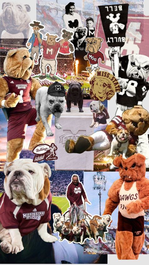 Mississippi State football is back 🐶 Mississippi State Wallpaper, Mississippi State Football, Football Is Back, Hail State, Mississippi State University, Mississippi State Bulldogs, Mississippi State, College Life, Dorm Decorations