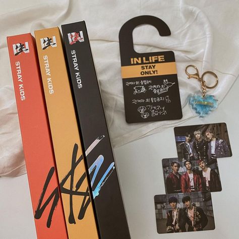 Skz Albums Aesthetic, Skz Album Collection, Skz Album Aesthetic, Kpop Albums Shelf, Stray Kids Album, Skz Merch, Kpop Room, Kpop Albums, Merch Collection