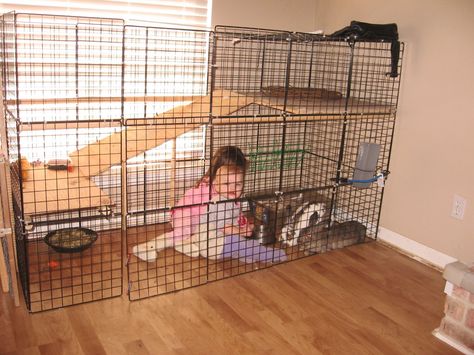 DIY Bunny cage - which apparently also doubles as a kid cage.... Diy Bunny Cage, Benny And Joon, Diy Rabbit Cage, Indoor Rabbit Cage, Bunny Cage, Rabbit Habitat, Bunny Hutch, Diy Bunny, Bunny Room