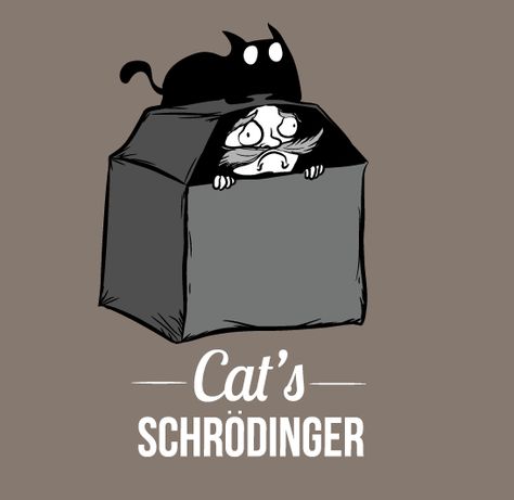 cat's schrödinger exploding kittens oatmeal Physics Memes, Physics Humor, Schrödinger's Cat, Base Jump, Psychological Facts Interesting, Exploding Kittens, Kitten Art, Irish Quotes, Science Jokes