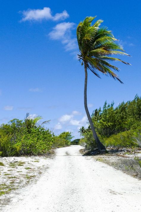 Exploring Fakarava French Polynesia on an independent cruise excursion. #boomertravel #southpacific #cruiseexcursion South Pacific Cruise, Royal Cruise, Tropical Islands Paradise, Cruise Kids, Cruise Excursions, Travel Photography Tips, Best Cruise, Luxury Cruise, Travel Activities