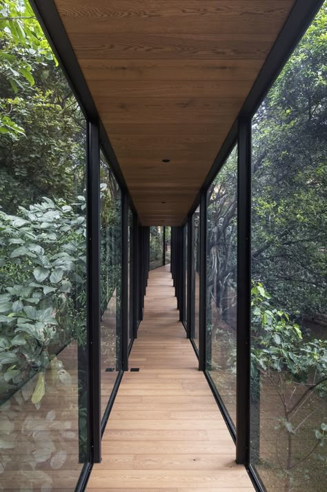 Two House Connected, Pretoria South Africa, Forest Lodge, Timber Beams, Oak Flooring, Walnut Oil, Tree Canopy, Timber Cladding, Castle House