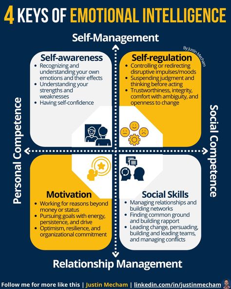 Logic And Critical Thinking, Understanding Feelings, Business Strategy Management, Good Leadership Skills, Conflict Management, Leadership Management, High Iq, Program Management, Work Skills