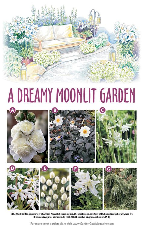 Compost Container, Moonlit Garden, Evening Garden, Goth Garden, Witch Garden, Garden Plan, Garden Planner, Moon Garden, Night Garden