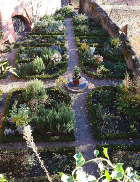 Herb garden..♔.. Formal Herb Garden, Medieval Castle Garden, Medieval Herb Garden, Medieval Garden Design, Monestary Garden, Monastic Garden, Prairie Landscaping, Cloister Garden, Marian Garden