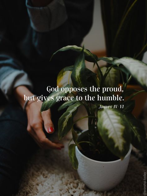 Bible Guide, Bible Verse Background, James 4, God Heals, Faith Encouragement, Bible Promises, The Lord Is Good, Encouraging Bible Verses, Words Of Comfort