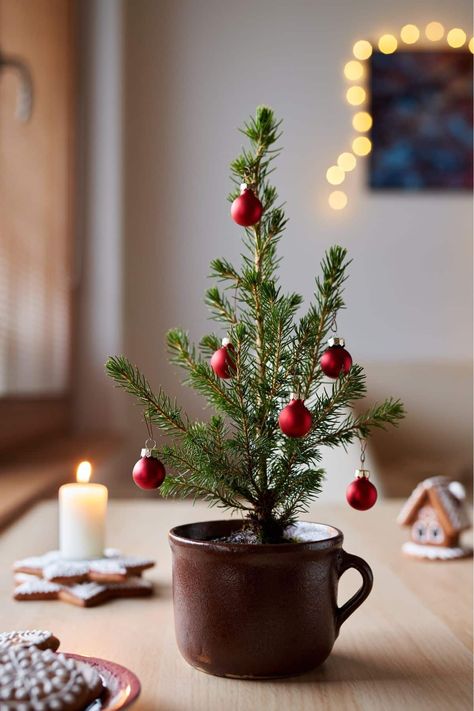 The holiday season brings joy, but also often excess waste and carbon emissions. This year, challenge yourself to celebrate more sustainably and minimize your environmental impact. Small changes to gifts, travel, decor, and gatherings can reduce your carbon footprint and support local communities. Follow these tips for an eco-friendly holiday season. Minimalist Xmas Decor, Small Apartment Christmas Tree, Wood Plank Christmas, Apartment Christmas Tree, Small Apartment Christmas, Christmas Tree Alternative, Sustainable Holiday, Christmas Tree Beads, Year Challenge