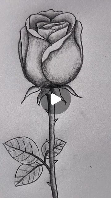 Atier Amin on Instagram: "Rose🌷 Flower Drawing Technique #shorts #reelsinsta" Pictures Of Roses To Draw, Rose Drawing With Color, How To Draw A Rose Easy, Draw A Rose, Pencil Color Drawing Easy, Drawing Roses, How To Draw Rose, Rose Drawing Simple Step By Step, How To Draw A Rose Step By Step