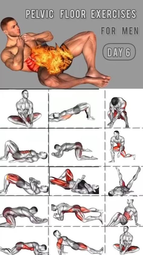 Men’s Pelvic Floor Exercises, Mens Pelvic Floor Exercises, Pelvic Exercises For Men, Kegels Exercises For Men, Hip Stretches For Men, Kegel Exercises For Men Workout, Kegal Exercises For Men, Pelvic Workout, Pelvic Exercises