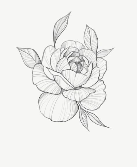 Tiny Peony Tattoo Simple, Peony Tattoo Men, Peony Back Tattoo, Peony Tattoo Sketch, Peonies Tattoo Design, Simple Peony Tattoo, Small Peony Tattoo, Fine Line Peony Tattoo, Peony Tattoo Design