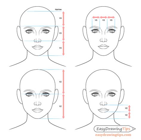 Drawing Proportions, Portrait Au Crayon, Face Proportions, Face Outline, Female Face Drawing, Easy Drawings For Beginners, Drawing Tutorial Face, Face Drawing Reference, Drawing Heads