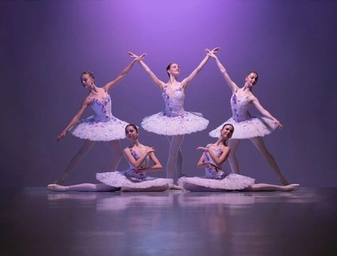 Ballet Group Poses, Ballet Costumes Tutus, Ballet Stretches, Group Photo Poses, Dance Motivation, Dance Picture Poses, Dance Photo Shoot, Ballet Doll, Dancer Poses