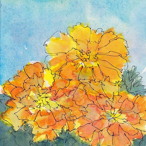 Marigold Watercolor Painting, Marigold Watercolor, April Watercolor, Watercolor Marigold, Ink And Wash, Color Pen, Flowers Paintings, Loose Watercolor, Watercolor Flower Art