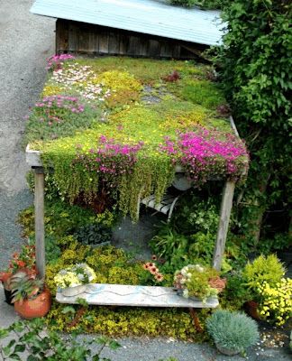 Green Roof Garden, Structural Drawing, Living Roofs, Roof Architecture, Patio Roof, Have Inspiration, Roof Garden, Cool Landscapes, Green Roof