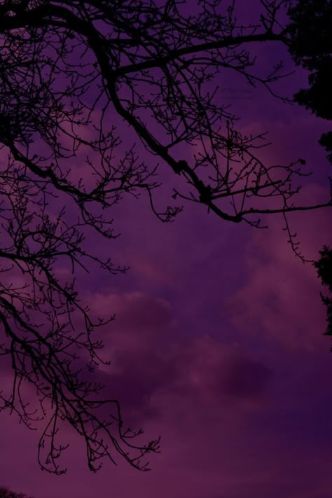 Purple Sky, Purple Aesthetic, Nature Aesthetic, Sky Aesthetic, Aesthetic Backgrounds, Dark Purple, Ideas De Fondos De Pantalla, Aesthetic Wallpapers, The Sky