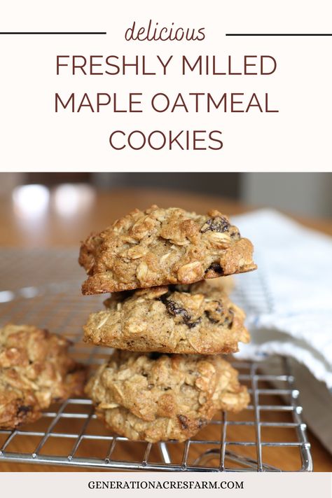 freshly milled whole grain maple oatmeal cookies Unsifted Recipes, Grains And Grit, Milled Flour Cookies, Whole Grain Cookie Recipes, Whole Grain Flour Recipes, Desserts With Maple Syrup Instead Of Sugar, Whole Grain Desserts, Fresh Milled Muffin Recipes, Whole Grain Cookies