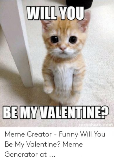 14 New Will You Be My Valentine Meme gallery 2020 14 New Will You Be My Valentine Meme gallery 2020 | Encouraged to the weblog, in this moment I am going to show you in relation to Will You Be My Vale... Check more at http://dientumaytinh.com/image/14-new-will-you-be-my-valentine-meme-gallery-2020.html Grumpy Meme, Valentine Meme, Cat Birthday Memes, Valentine Memes, Cat Grumpy, Valentines Cat, Kitty Play, Valentine Cat, Valentines Memes