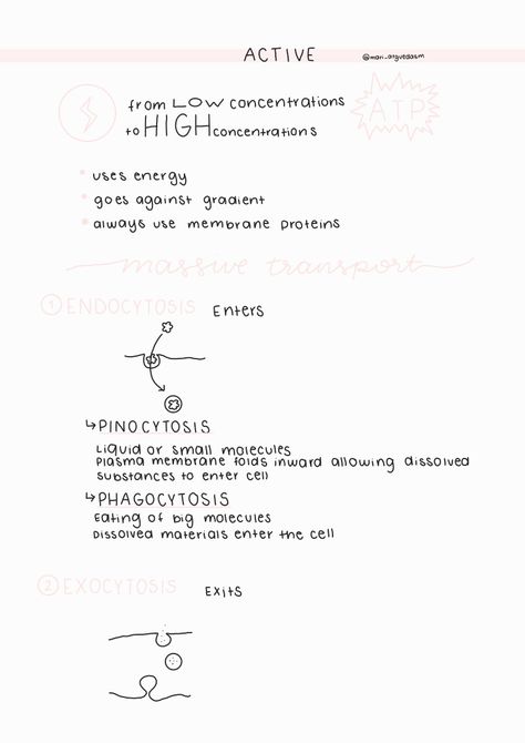 Aesthetic biology cell membrane summary notes for school Transport Across Cell Membrane Notes, Passive Transport Notes, Passive Transport Biology, Cell Membrane Notes, Protein Biology, Passive Transport, Active Transport, Doctor Of Osteopathic Medicine, Study Things