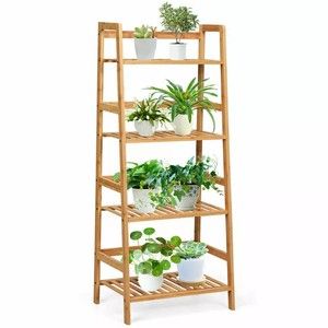 Plant Wall Shelf Ideas {Plant Display Tips!} – Love & Renovations Bamboo Ladder, Bedroom Finds, Bamboo Ladders, Indoor Plant Shelves, Bamboo In Pots, Slatted Shelves, Bamboo Structure, Ladder Bookshelf, Bamboo Shelf