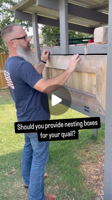 Eric & Melissa | Raising Coturnix Quail | Farmsteader Rookies on Instagram: "Well?…

I’ve seen a lot of questions out there about whether Coturnix quail need nesting boxes to lay their eggs, and I’m here to clear it up for you. The short answer? No, they don’t! But let me explain why that is and how you can set up their space to make them happy and productive.

Unlike chickens or other birds that might seek out a specific cozy spot to lay their eggs, Coturnix quail are ground layers. In the wild, they don’t build elaborate nests. They simply lay their eggs wherever they feel comfortable—which is usually right on the ground! So, when you’re raising Coturnix quail, you don’t need to worry about providing fancy nesting boxes. In fact, they probably won’t use them even if you provide one.

Wha Natural Quail Habitat, Coturnix Quail, Quail Coop, Cozy Spot, Large Garden, The Suburbs, Nesting Boxes, Two Birds, Small Backyard