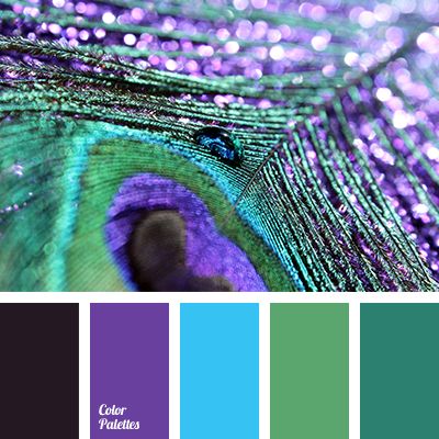 Color Palette #3730 inspires you to decorate your house, flat, bedroom, kitchen, living room, bathroom and even wedding with our color ideas. Peacock Color Scheme, Royal Peacock, Teal Color Palette, Peacock Pictures, Color Palette Ideas, Brand Archetypes, Purple Bathrooms, Wall Living Room, Color Schemes Colour Palettes