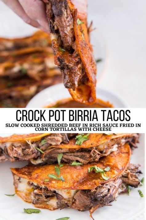 Crock Pot Birria Tacos, Crock Pot Birria, Beef Birria Recipe, Birria Tacos, Crockpot Recipes Slow Cooker, Dinner Recipes Crockpot, Mexican Food Recipes Authentic, Crockpot Recipes Easy, Nachos