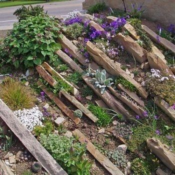 Crevice Garden, Rockery Garden, Slate Garden, Alpine Garden, Rock Garden Design, Gravel Garden, Rock Garden Landscaping, Garden Landscape Design, Garden Features