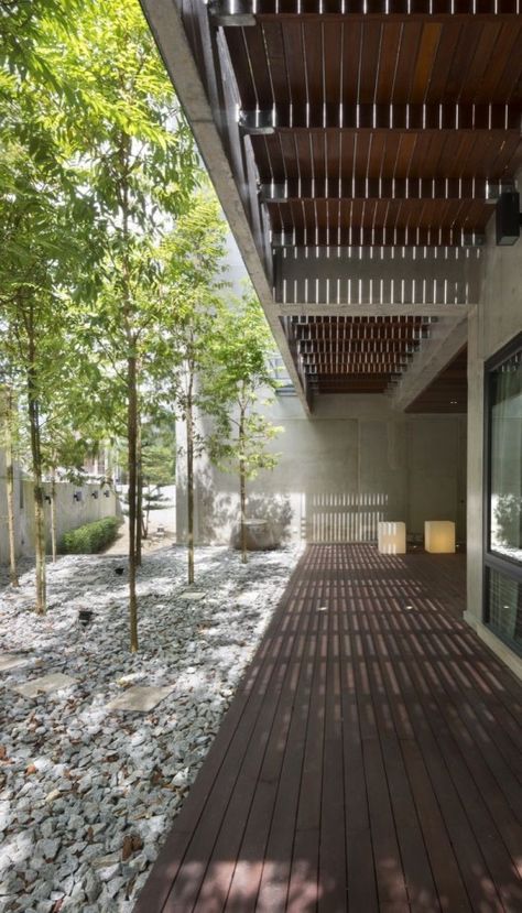 Small courtyard with green plants | Indoor-outdoor living | Modern Natural Home | Inside Tree | Contemporary Design | Nature #nakedenvironment Guiyang, Petaling Jaya, Small Courtyards, Garden Stand, Living Modern, Side Garden, Open Space Living, Patio Interior, Courtyard House