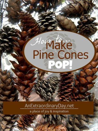 How to dry and debug pine cones Pinecone Crafts Kids, Cones Diy, Pine Cone Art, Diy Pinecone, Pine Cone Decorations, Cones Crafts, Nature's Bounty, Christmas Tree Crafts, Pine Cone Crafts