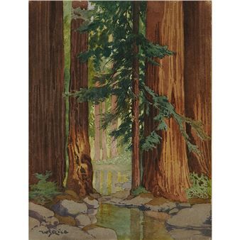 In the Heart of the Redwoods - William S. Rice Peter Sheeler, Cottage Illustration, Monterey Cypress, The Redwoods, Western Landscape, Redwood Forest, Impasto Painting, Environmental Art, Colorful Pictures