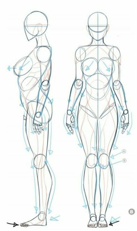 Drawing Dynamic Poses, Drawing Body Proportions, Figure Drawing Tutorial, Dynamic Poses Drawing, Female Anatomy Reference, Human Body Drawing, Drawing Female Body, Body Shape Drawing, Poses Drawing