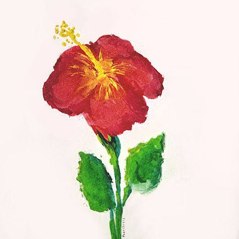 Gouache painting of the flower hibiscus, gumamela in Filipino. Gumamela Painting, Gumamela Flower Drawing, Gumamela Flower, Flower Gouache, Hibiscus Painting, Flower Hibiscus, Painting Gouache, Oil Pastel Art, Painted Vases