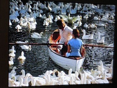 The Notebook - iconic swan scene The Notebook Scenes, Period Romance Movies, Allie And Noah, Romance Movie Scenes, Over The Country Club, Lana Del Rey Songs, 10 Things I Hate About You, Favourite Movie, Taurus Facts