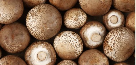 Mushroom Benefits, White Button Mushrooms, Maitake Mushroom, Button Mushroom, Button Mushrooms, Edible Mushrooms, Cremini Mushrooms, Heart Food, Pantothenic Acid