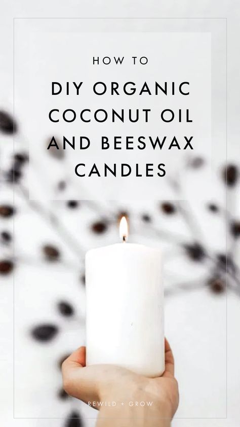 Easy, Simple Guide on Making Organic Coconut Oil and Beeswax Candles Coconut And Beeswax Candles, Candle Making Beeswax Coconut Oil, Toxic Free Candles Diy, Beeswax Coconut Oil Candles Diy, Coconut Oil Wax Melts Diy, Soy Beeswax Candles Diy, Soy And Beeswax Candles Diy, Candle Making Beeswax Tutorials, Tallow And Beeswax Candles