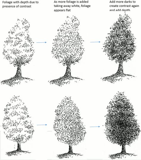 How to Draw Tree Foliage in Pen and Ink | My Pen and Ink Drawings Draw Tree, Draw Trees, Ink Drawing Techniques, Pen And Ink Drawings, Ink Pen Art, Leaf Drawing, Plant Drawing, Ink Drawings, Landscape Drawings