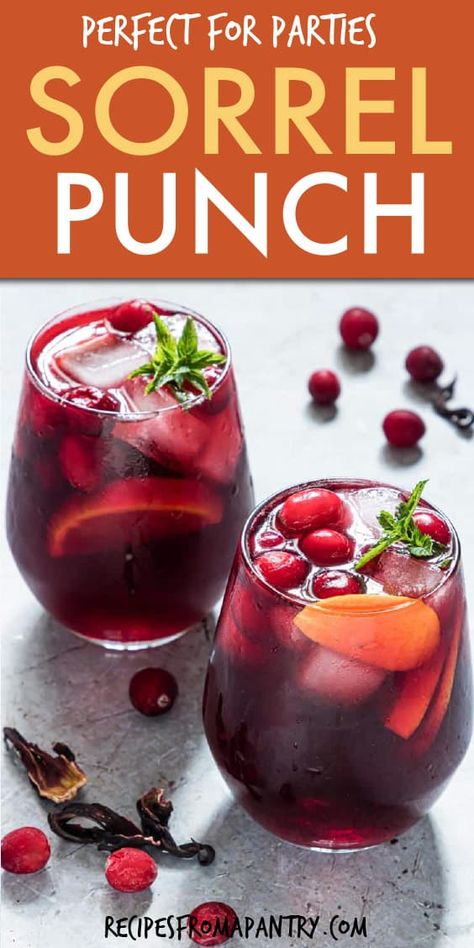 Sorrel punch is the recipe to a very merry holiday! Colorful and full of festive flavors, this is the perfect Christmas punch for all your holiday celebrations. And you can make this hibiscus punch ahead of time and store in the fridge until needed, so it's ideal for entertaining. Click through to get this awesome sorrel punch recipe!! #sorrelpunch #hibiscuspunch #christmaspunch #christmasdrinkrecipes #punch #drinkrecipes #jamaicansorrelpunch #glutenfree #vegan Sorrel Cocktail Recipe, Hibiscus Punch Recipe, Sorrel Tea Recipe, Sorrel Juice, Jamaican Sorrel Drink Recipe, Hibiscus Punch, Sorrel Drink Recipe, Magical Drinks, Sorrel Recipe