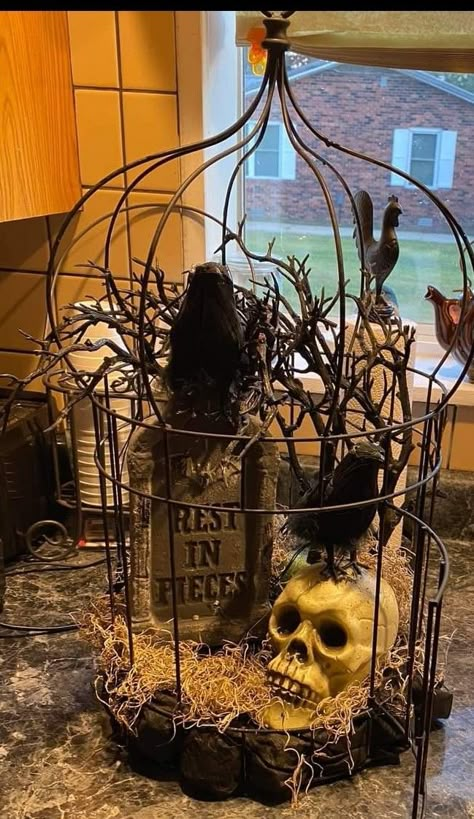 Gross Halloween Decorations, Bird Cage Halloween Decor, Ideas For Bird Cages Decor, Birdcage Halloween Decor, Halloween Bird Cage, Fall Birdcage Decor Ideas, Halloween Bird Cage Ideas, Halloween Birdcage, Witchy Halloween Decor