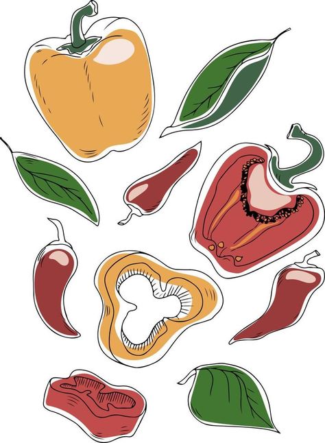 Vector set of bell peppers and chili peppers with leaves isolated on white background. Vector illustration Bell Pepper Illustration, Pepper Illustration, Bell Pepper Pizza, Write Book, Painted Bottles, Bell Pepper Recipes, Hand Painted Bottles, Vector Sketch, Illustration Background