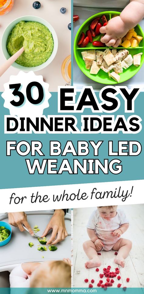 Meal ideas for dinner with baby led weaning (BLW) for the whole family Baby Food 9-12 Months Meal Ideas, Meals For 7 Month Old Baby No Teeth, Dinner Ideas For 6 Month Old, Dinner Ideas 9 Month Old Baby, 9 Month Old Daycare Lunch, Dinner Ideas For 11 Month Old, Easy Meals 10 Month Old, Food 12 Month Old, 6 Months Solid Food