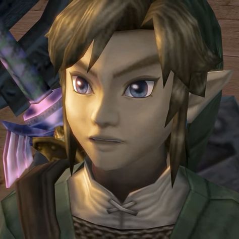 Link Pfp Twilight Princess, Tp Link Icon, Twilight Princess Link Pfp, Great Fairy Zelda, Link Twilight Princess, Link Icon, Legend Of Zelda Twilight Princess, Shigeru Miyamoto, Zelda Twilight Princess