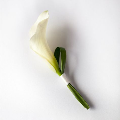 Modern Calla Boutonniere – from Pops of Plum $15 White Tulip Corsage, Calla Lilly Boutineer Ideas, Calla Boutonniere, Cop Wedding, Calla Lillies Bouquet, Flowers Wedding Ceremony, White Calla Lily Bouquet, Puglia Wedding, Modern Bridal Bouquets