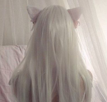 Catgirl Aesthetic, Catty Noir, Different Aesthetics, Angel Aesthetic, Kawaii Girl, Cat Girl, White Aesthetic, White Hair, Girl Icons