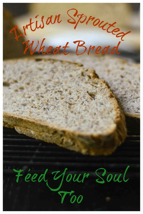 Artisan Sprouted Wheat Bread Sprouted Wheat Bread, Bread Artisan, Sprouted Wheat, Sprouted Grains, Oats And Honey, Honey Oats, Best Bread Recipe, Feed Your Soul, Wheat Bread