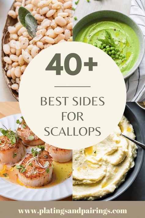 Wondering what to serve with scallops for dinner? This handy guide covers all of the best sides for scallops – from fresh vegetables to risottos, and more! Salad With Scallops, Scallop Sides Dishes, What To Make With Scallops, What To Eat With Scallops, Summer Scallop Recipe, Sides With Scallops, What Goes With Scallops, Dinner Recipes Scallops, Scallops Side Dish